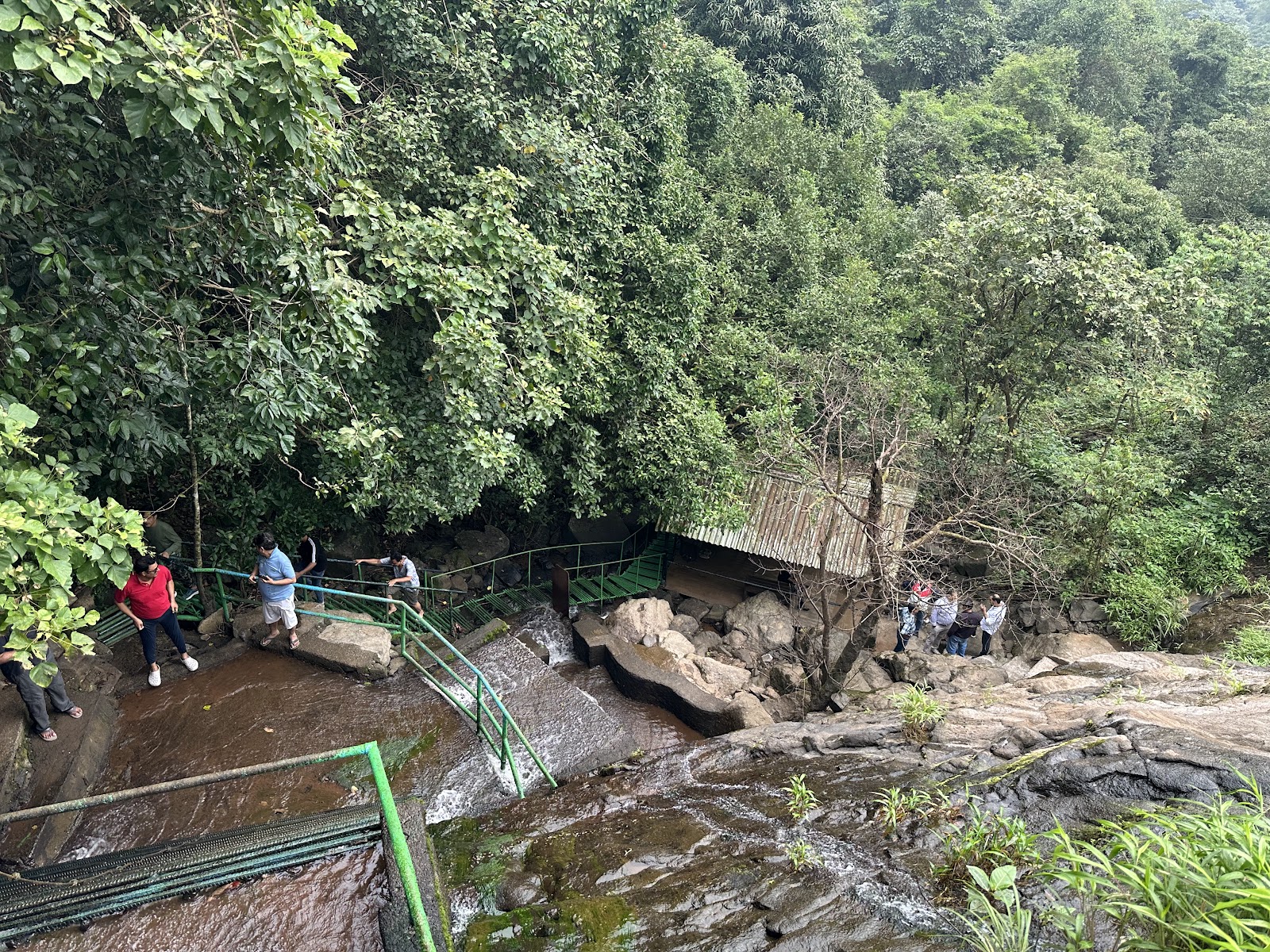 Aamby Valley Wetlands