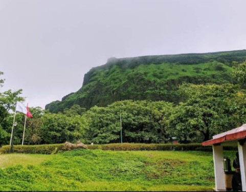 Aamby Valley Wetlands