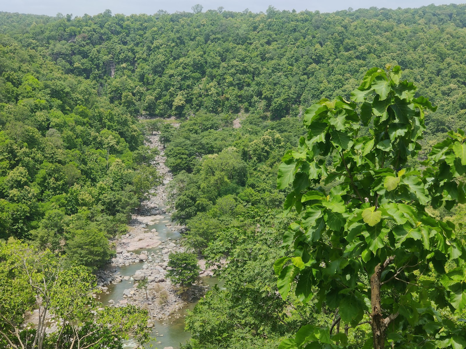 Kuntala Waterfall