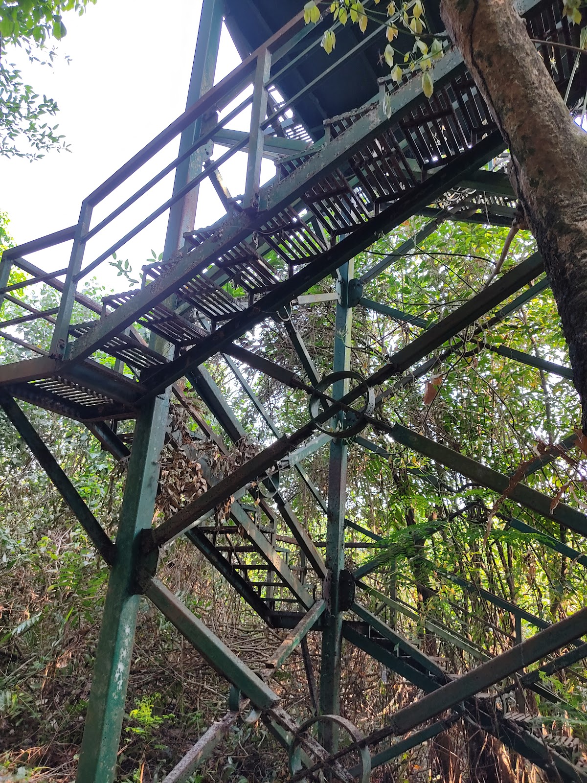 Kumarakom Bird Sanctuary