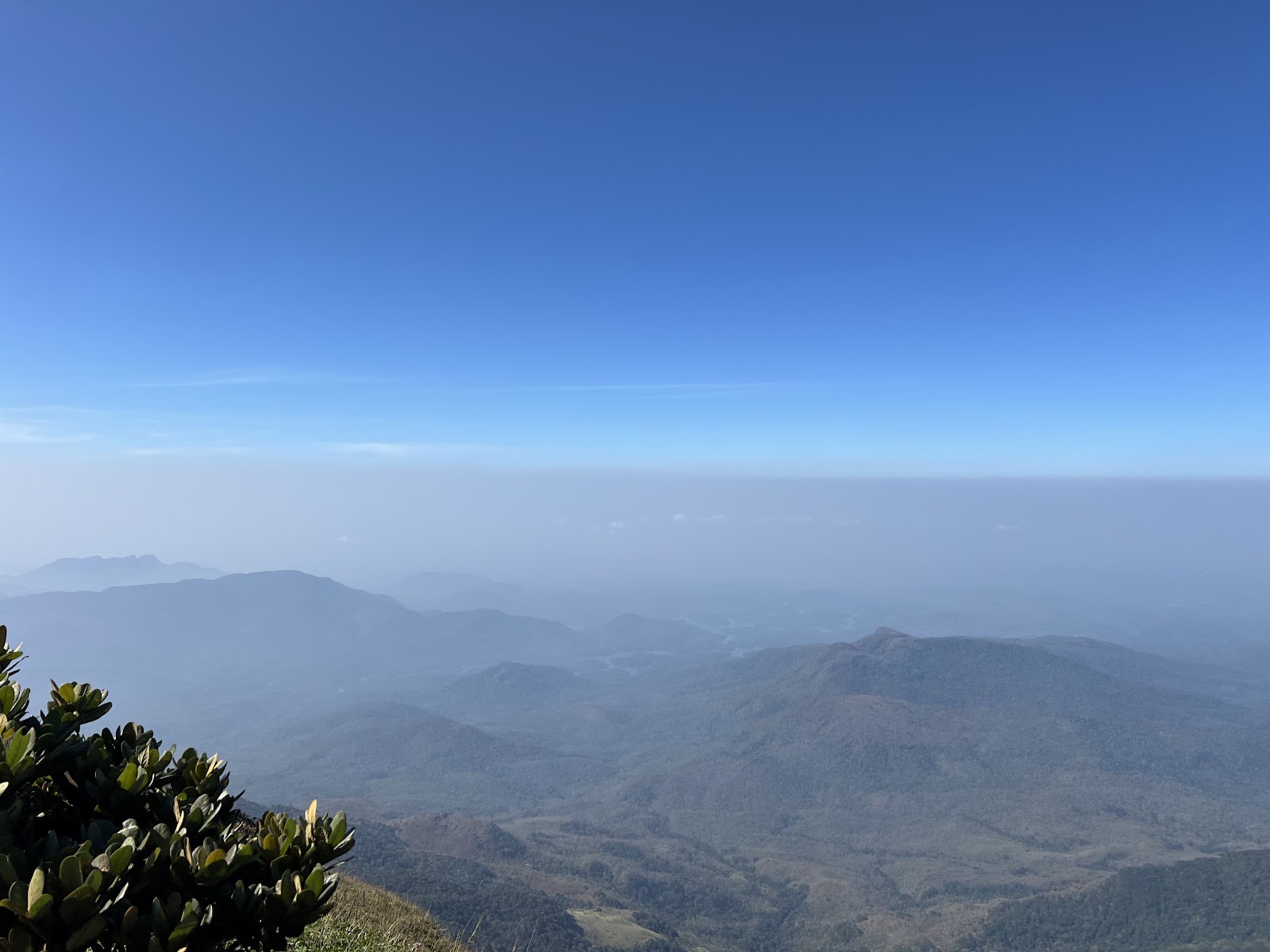 Agasthyakoodam - Trekking and Nature in Kerala