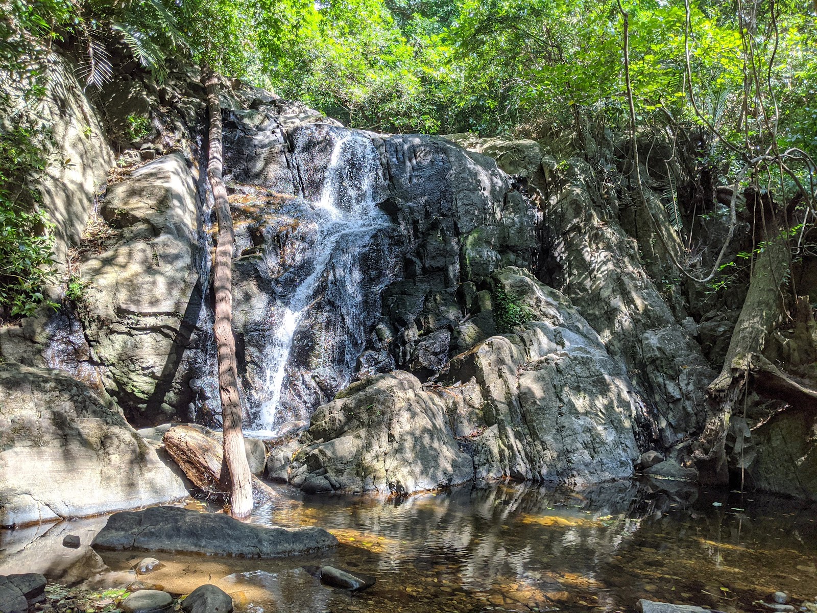 Agasthyamalai Biosphere Reserve