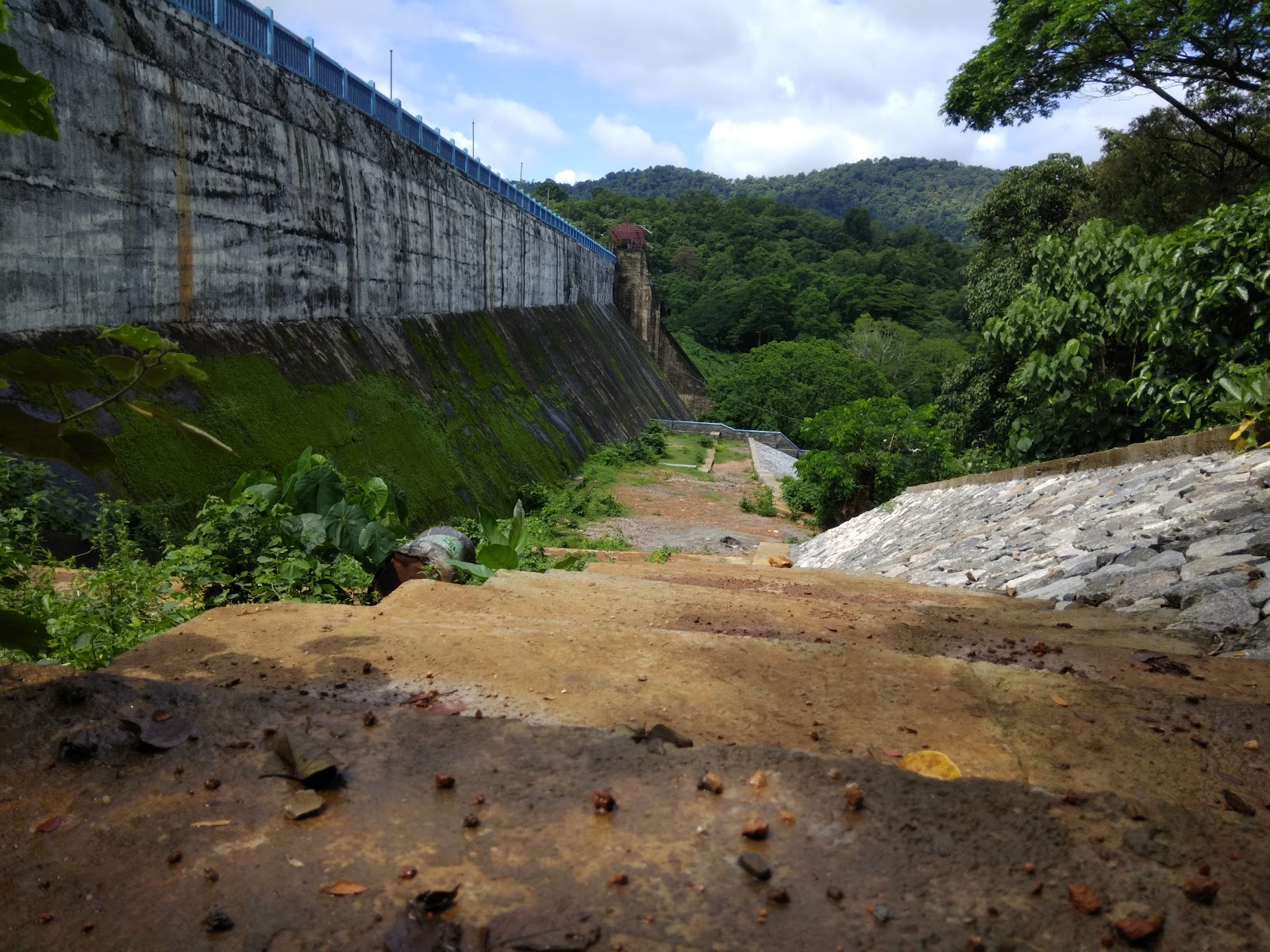 Chimmini Wildlife Sanctuary