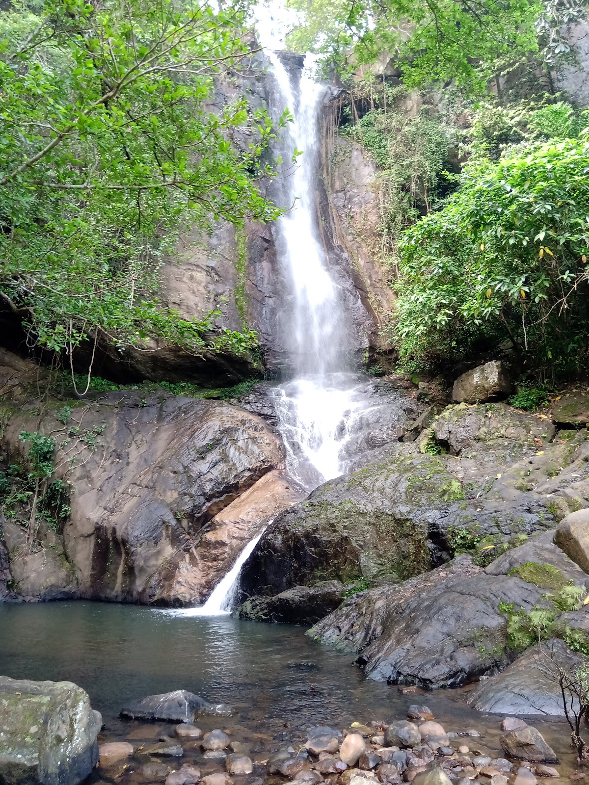 Chimmini Wildlife Sanctuary