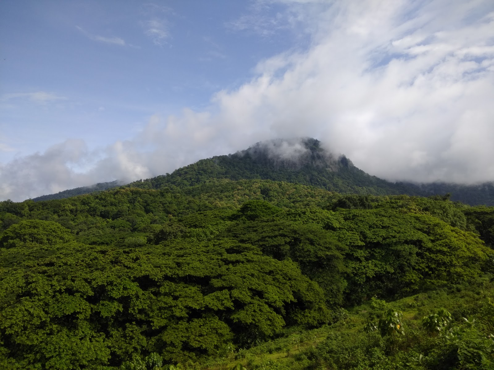 Chimmini Wildlife Sanctuary