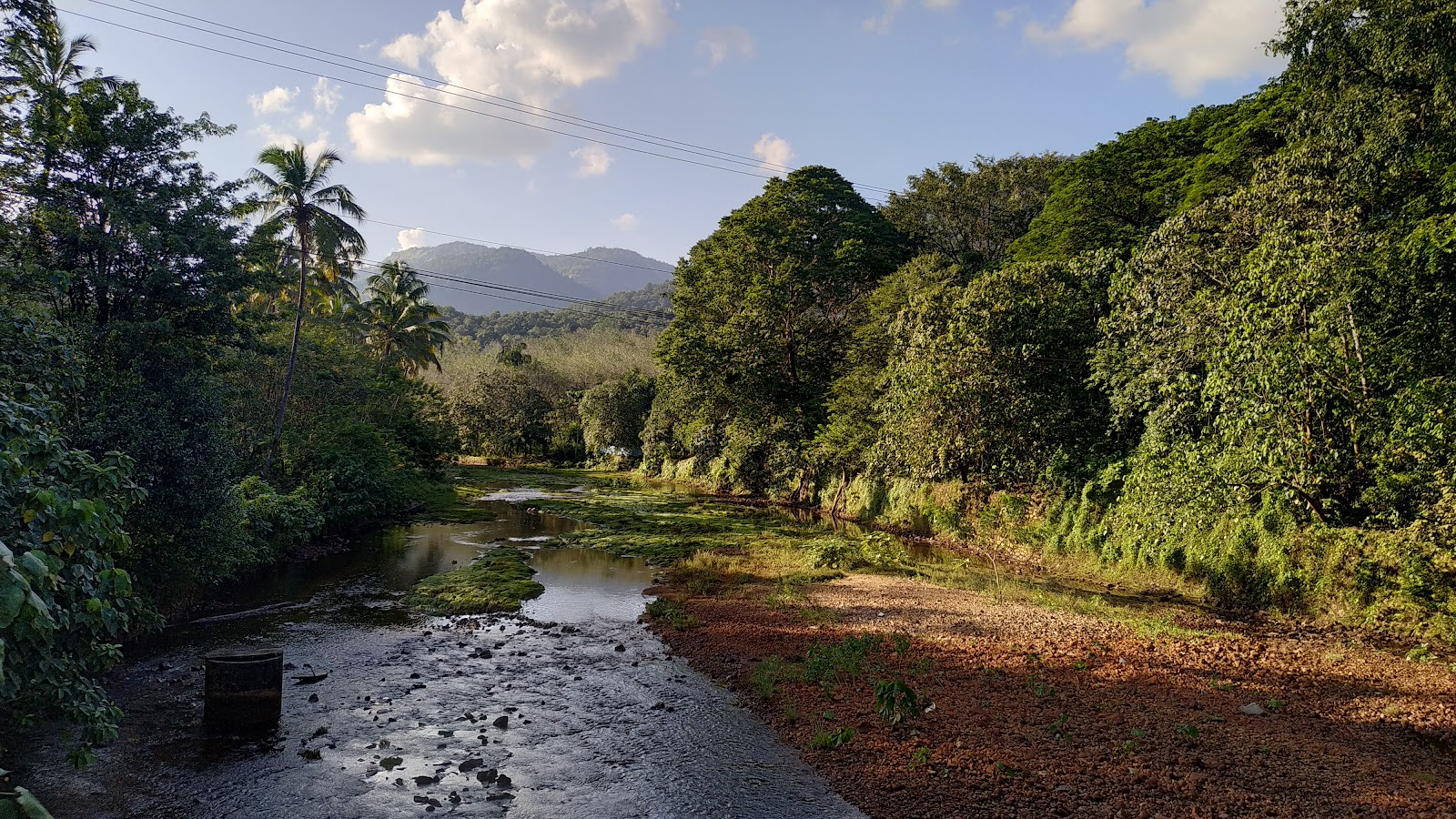 Chimmini Wildlife Sanctuary