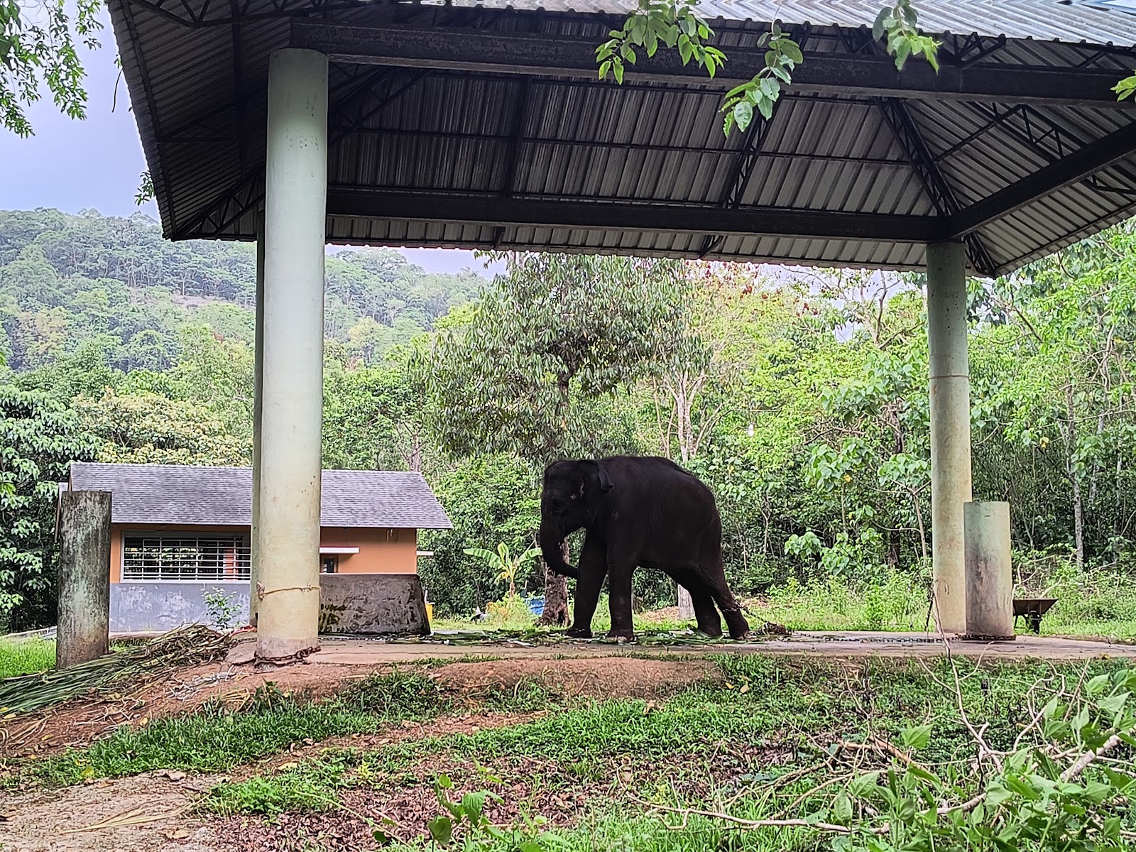 Kottur Wildlife Sanctuary