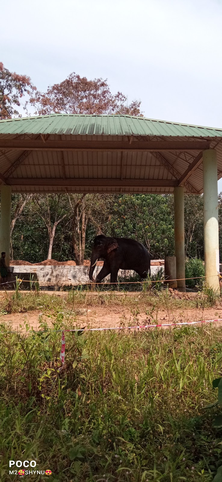 Kottur Wildlife Sanctuary