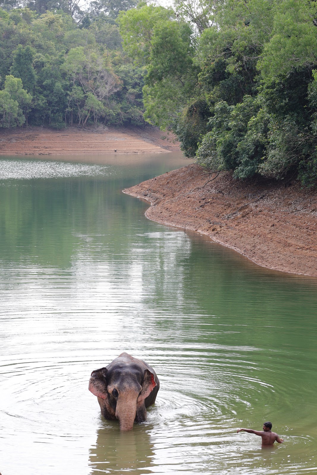 Kottur Wildlife Sanctuary