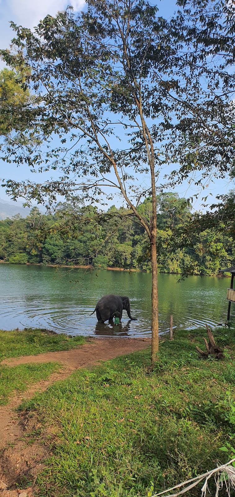 Kottur Wildlife Sanctuary