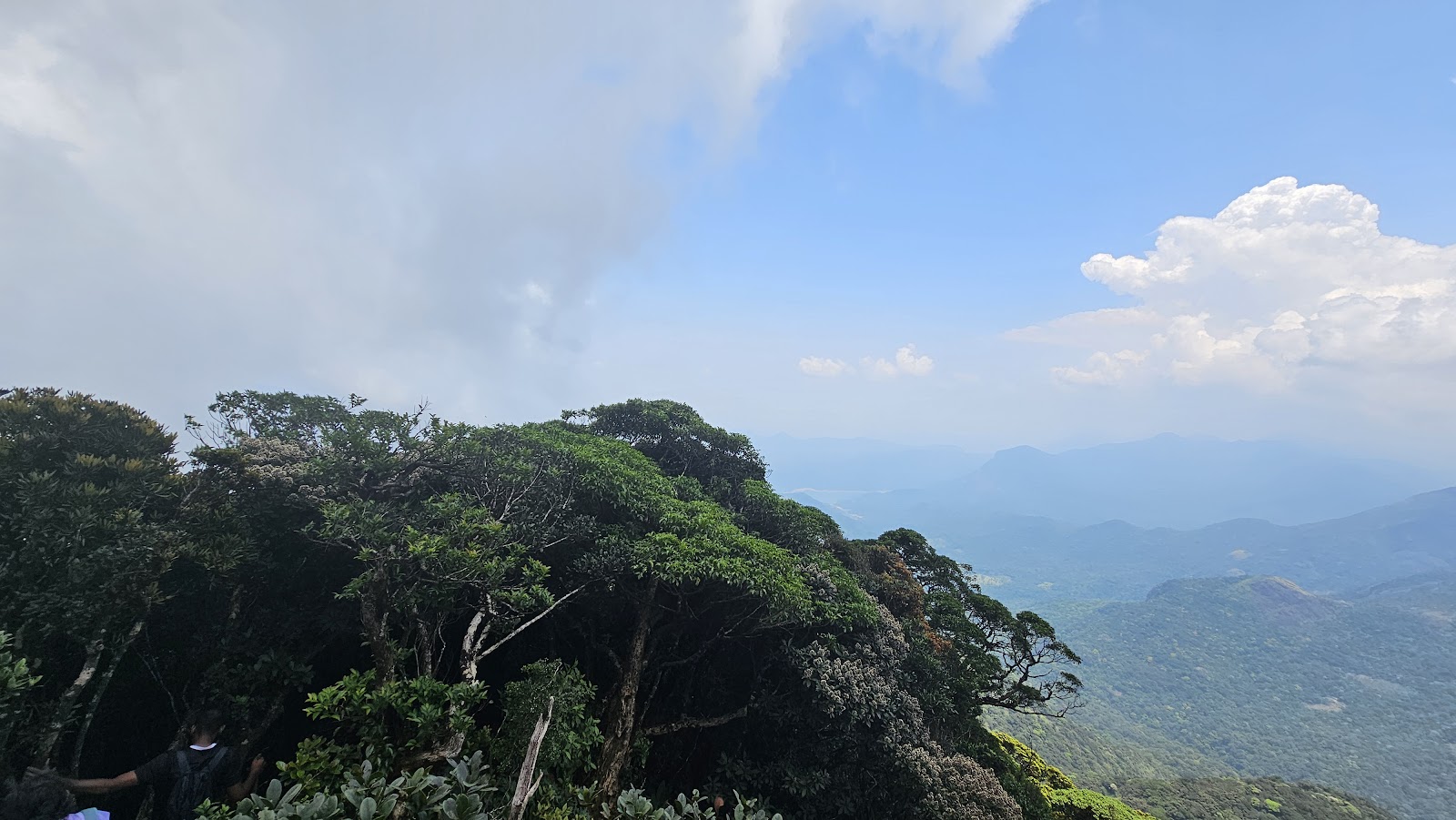 Agasthyamalai Biosphere Reserve