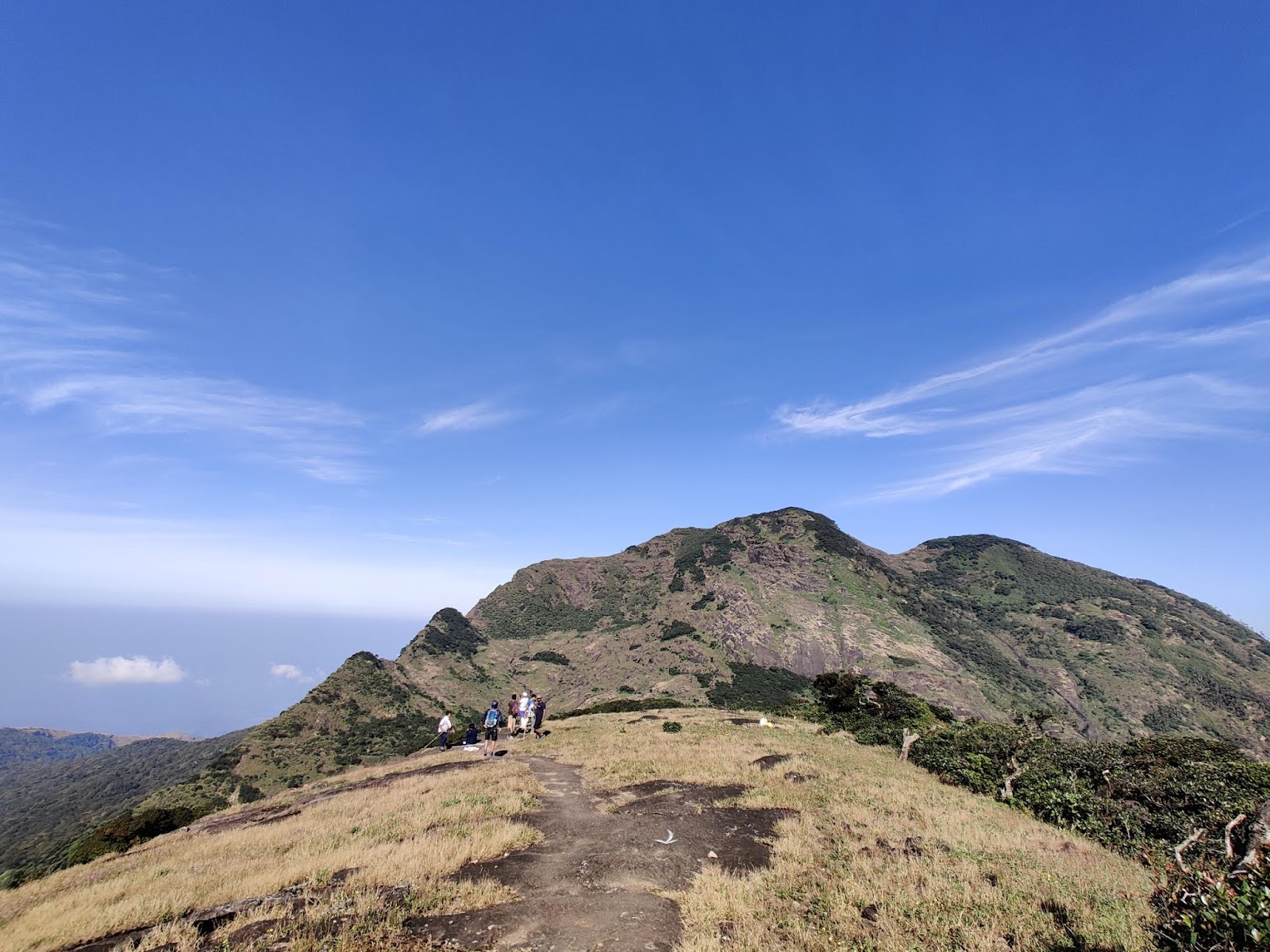 Agasthyamalai Biosphere Reserve
