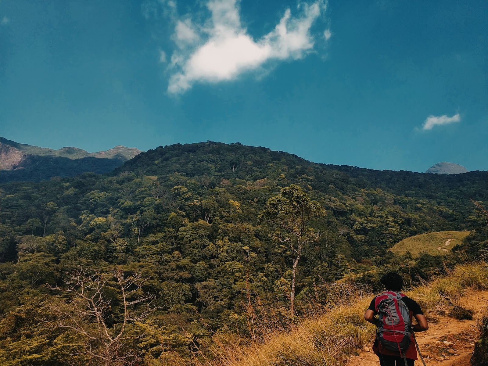 Agasthyarkoodam Peak