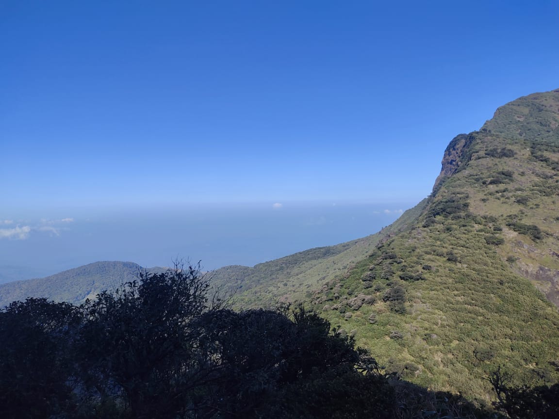 Agasthyarkoodam Peak