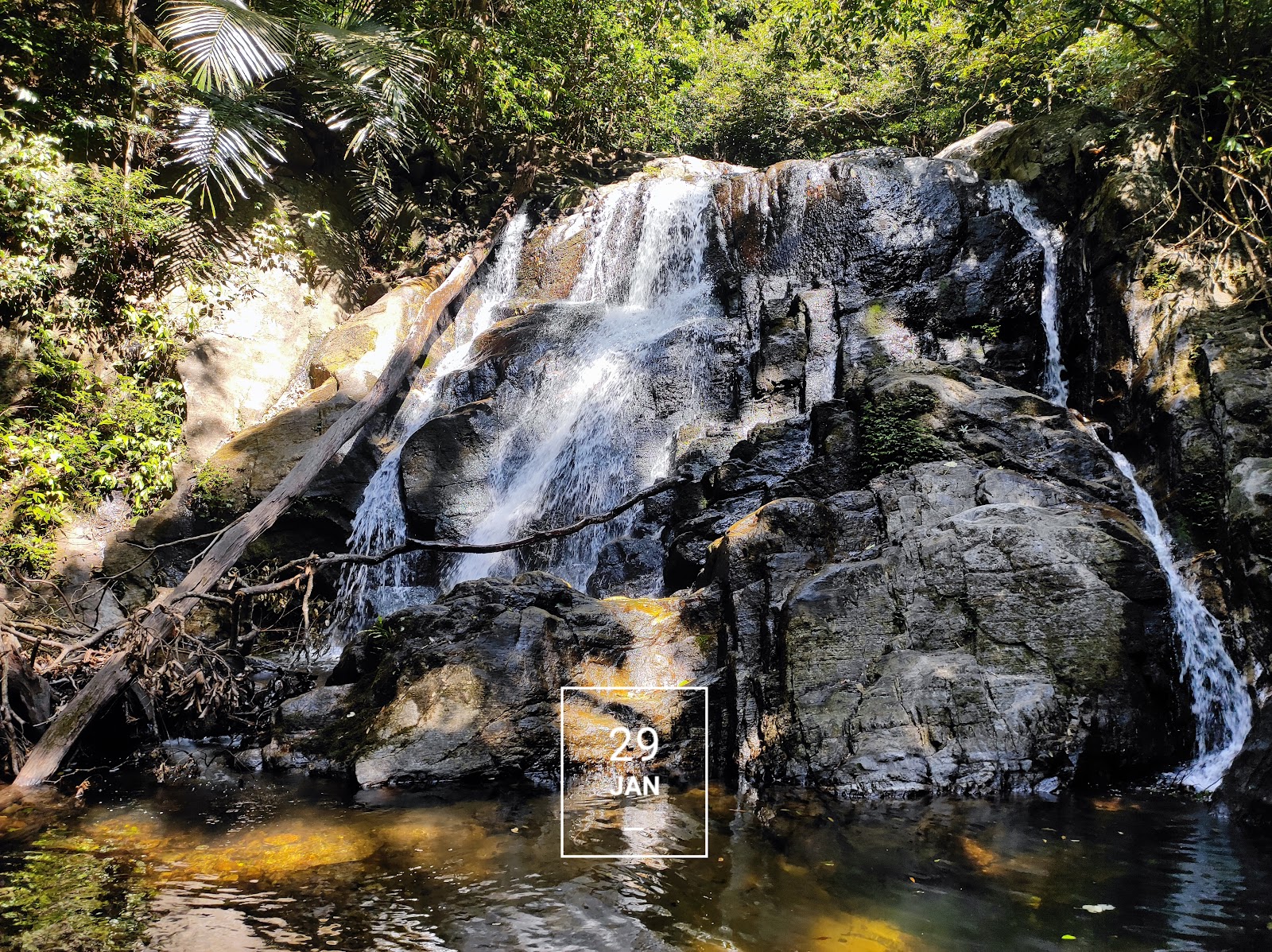 Agasthyarkoodam Peak