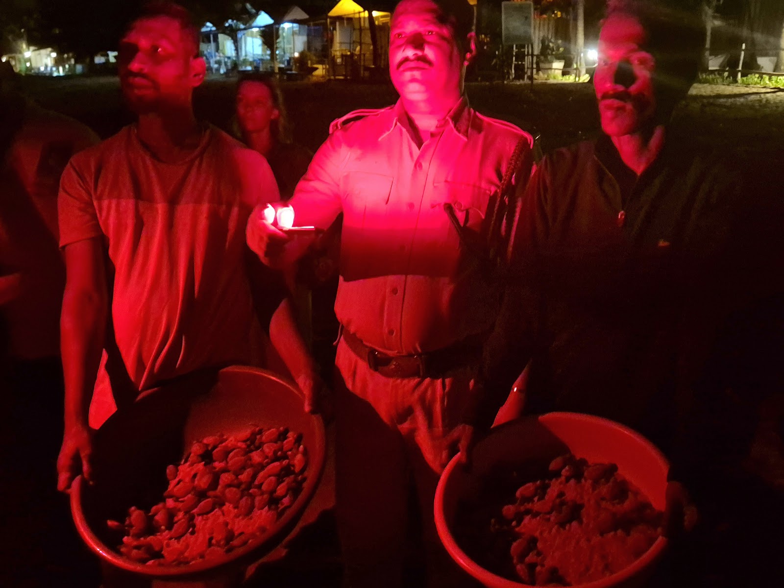 Agonda Turtle Nesting Station