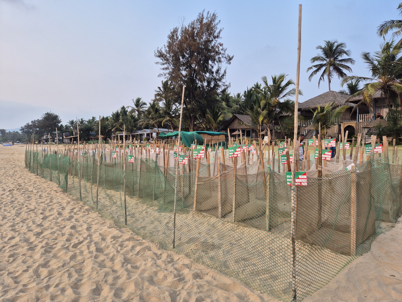 Agonda Turtle Nesting Station