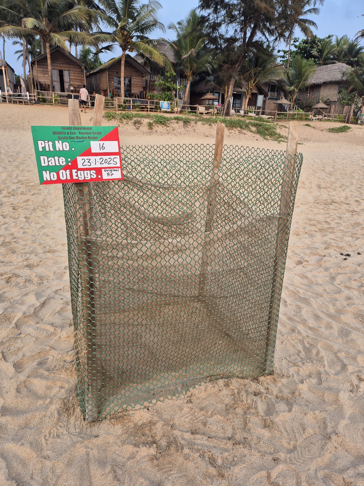 Agonda Turtle Nesting Station