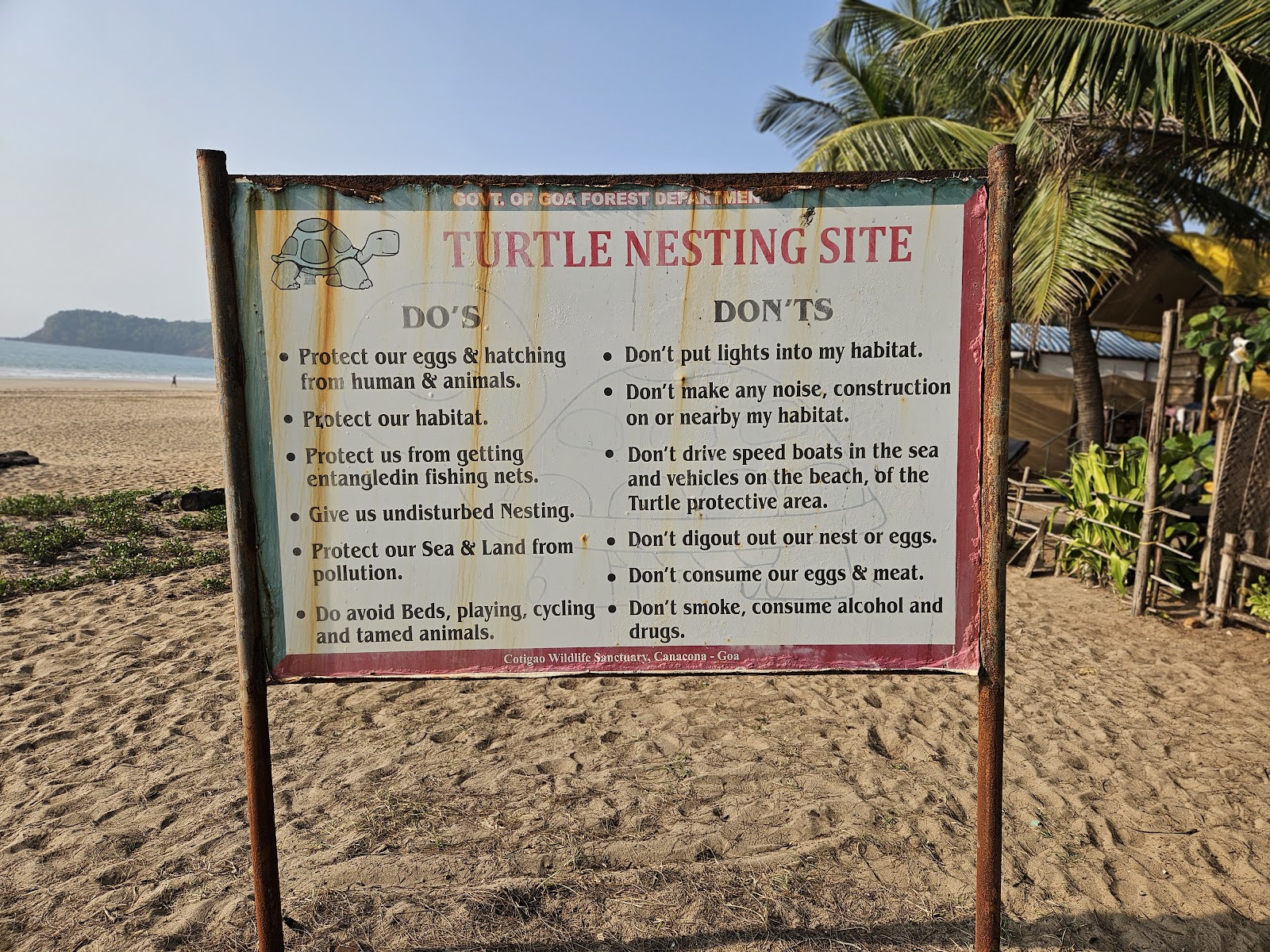 Agonda Turtle Nesting Station