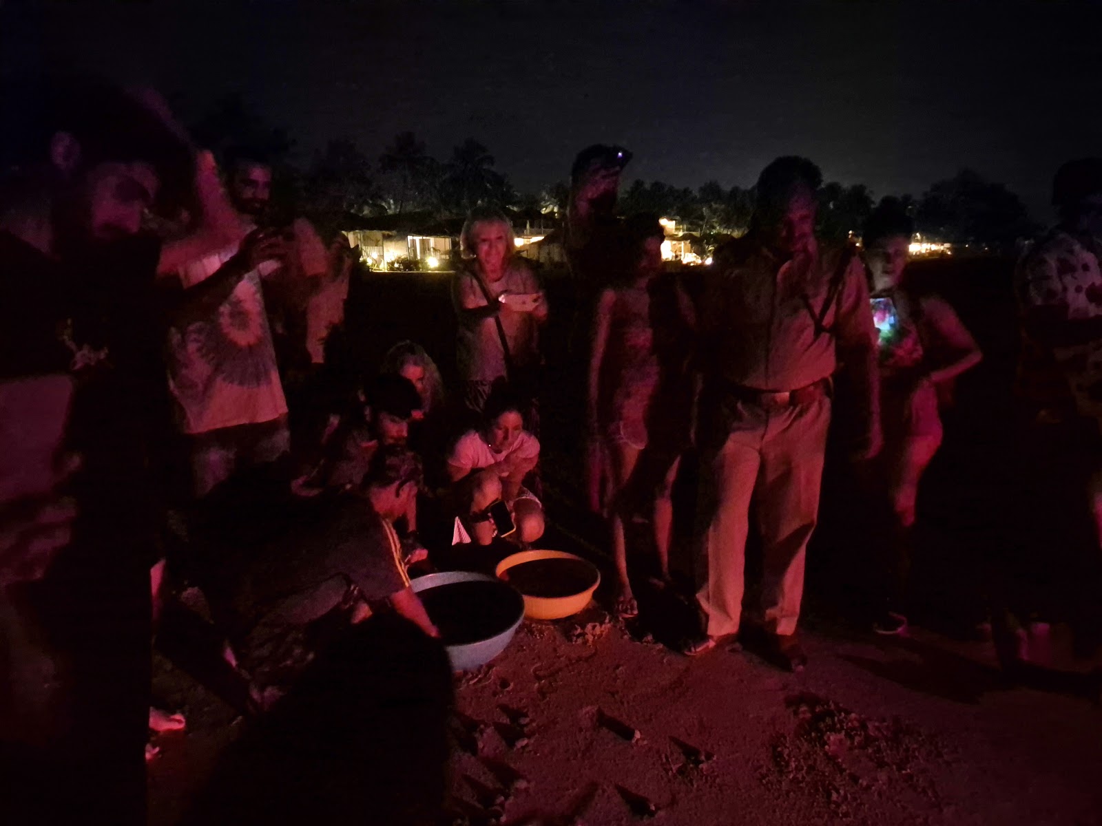 Agonda Turtle Nesting Station