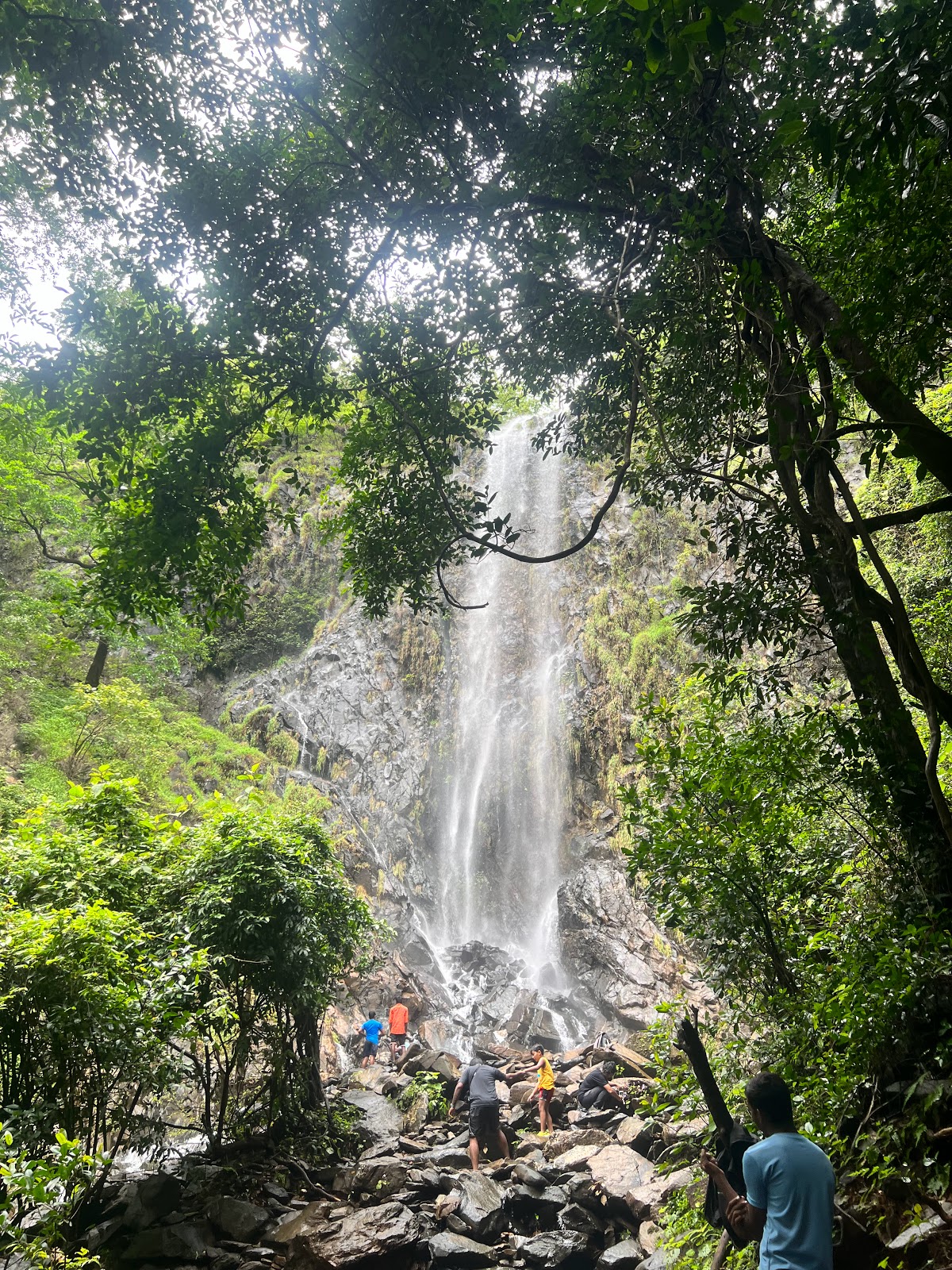 Cotigao Wildlife Sanctuary
