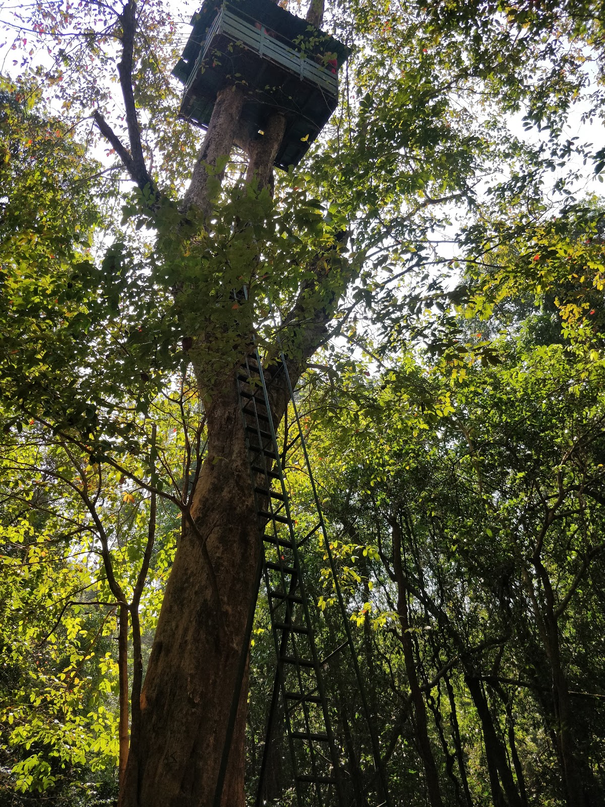 Cotigao Wildlife Sanctuary