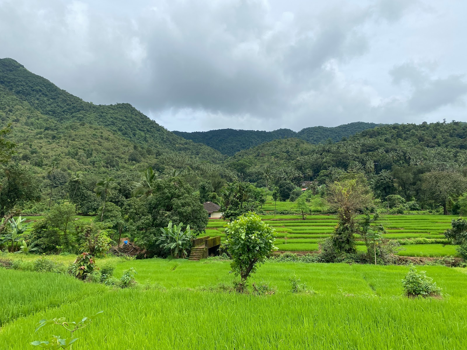 Cotigao Wildlife Sanctuary