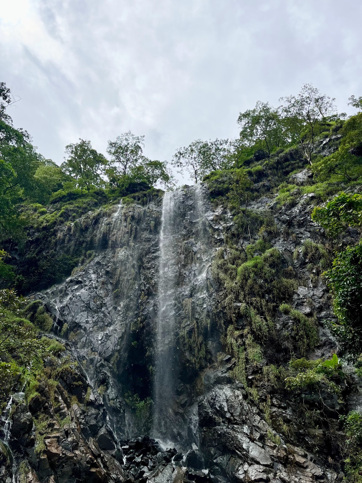 Cotigao Wildlife Sanctuary
