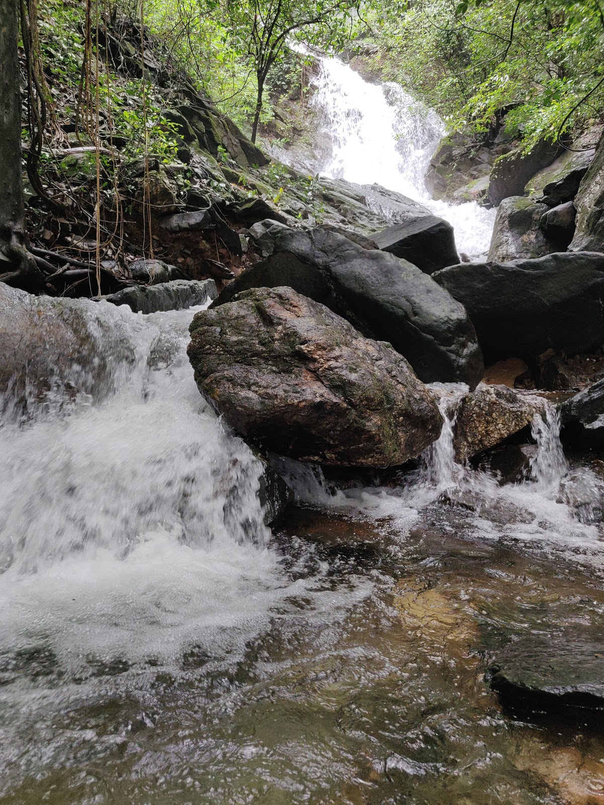 Cotigao Wildlife Sanctuary