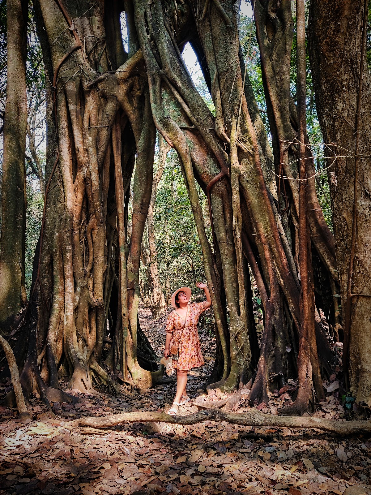 Cotigao Wildlife Sanctuary