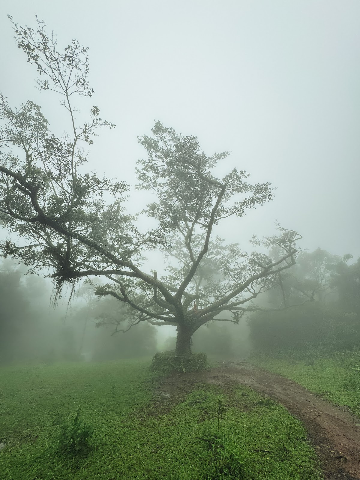 Sada Waterfalls Trail