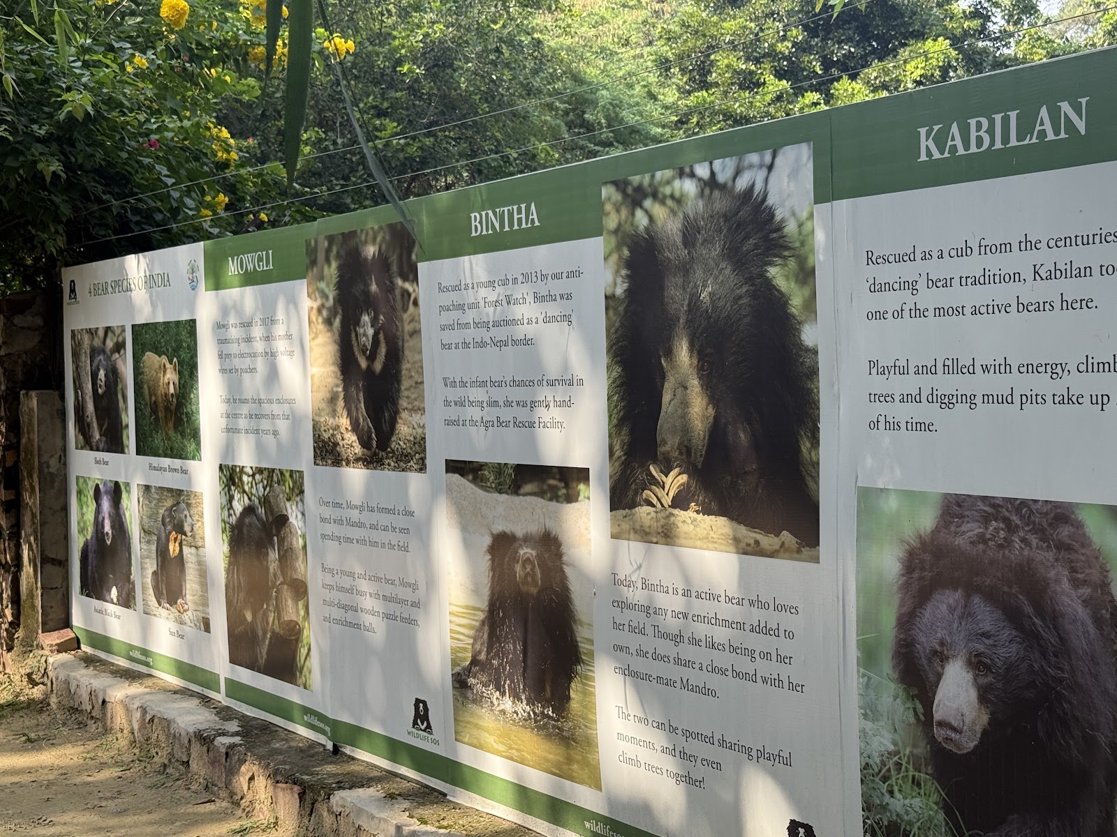 Agra Bear Rescue Facility