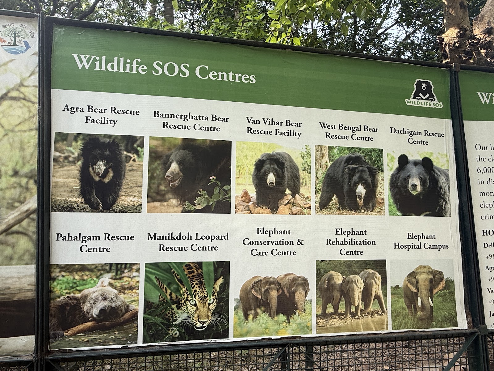 Agra Bear Rescue Facility