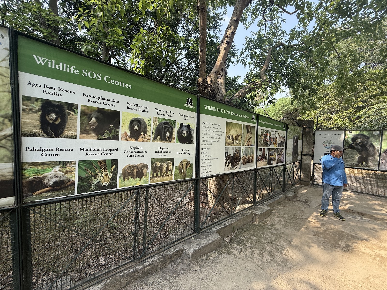 Agra Bear Rescue Facility