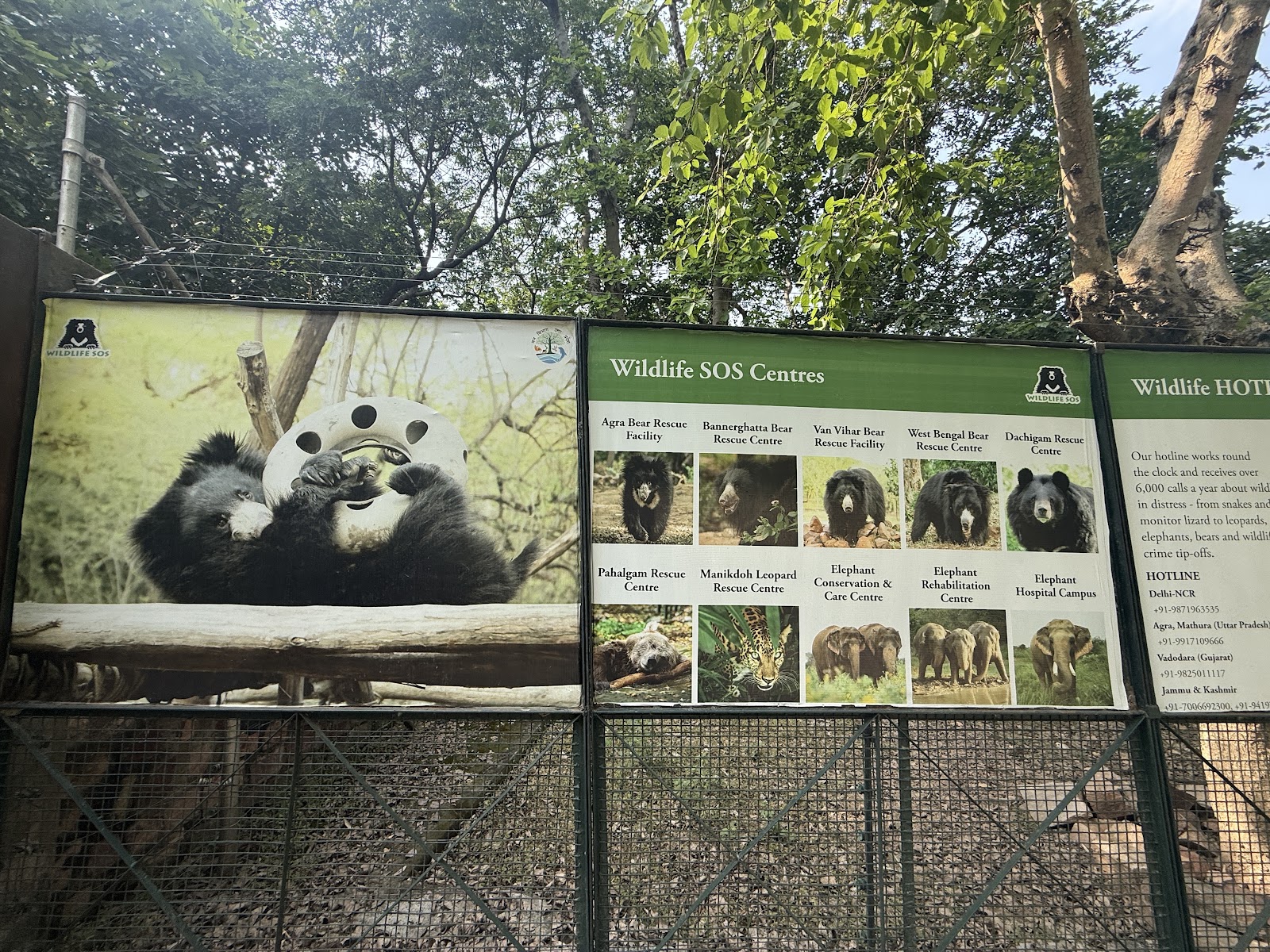 Agra Bear Rescue Facility