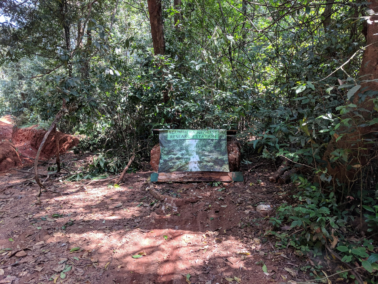 Agumbe Rainforest Research Station