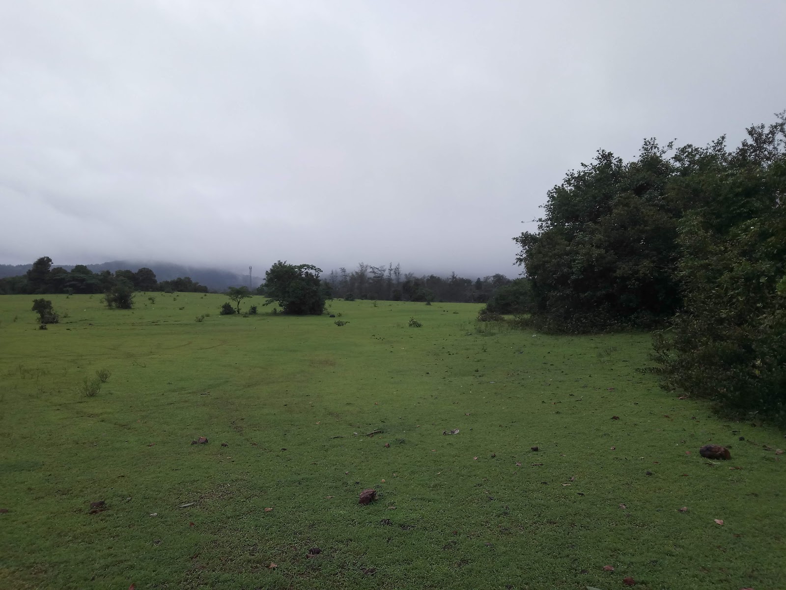 Agumbe Rainforest Research Station