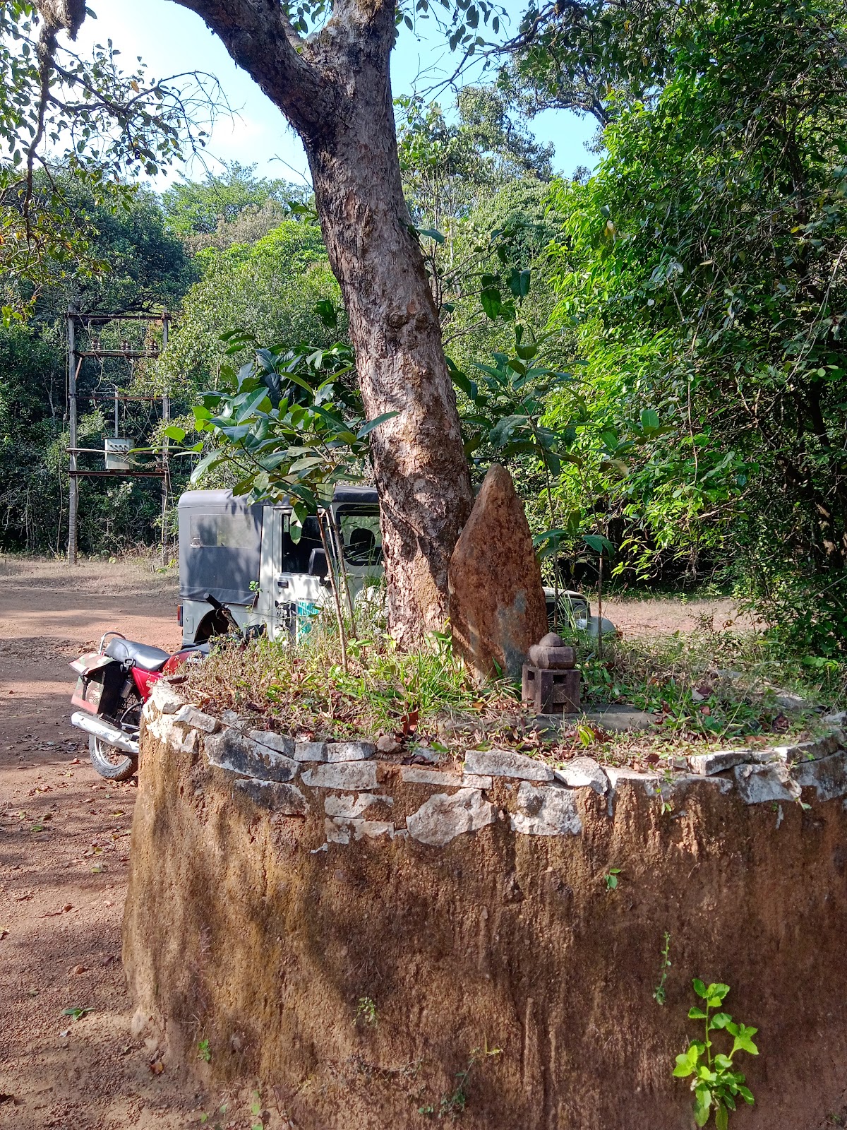 Agumbe Rainforest Research Station