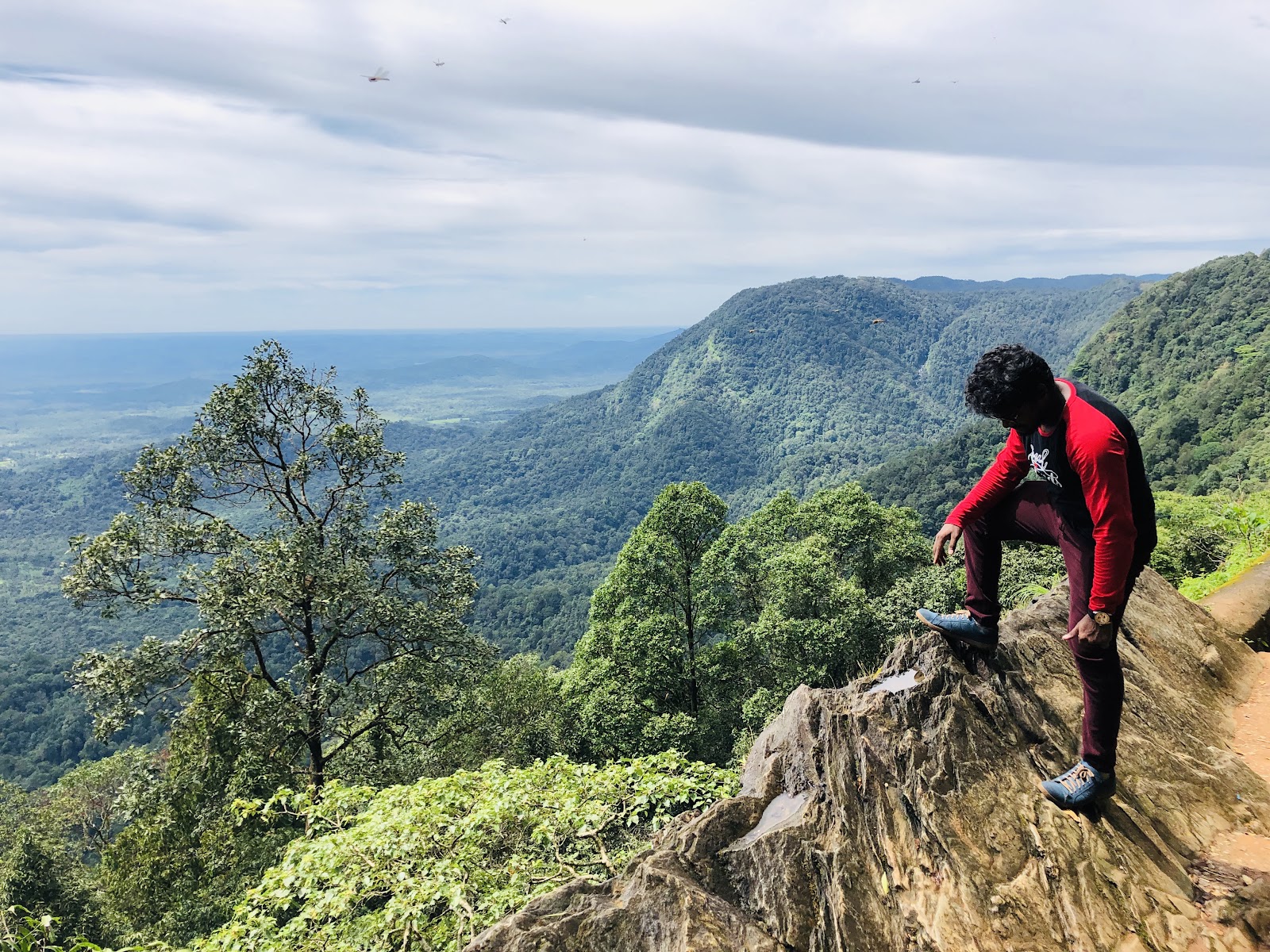 Agumbe Rainforest Research Station
