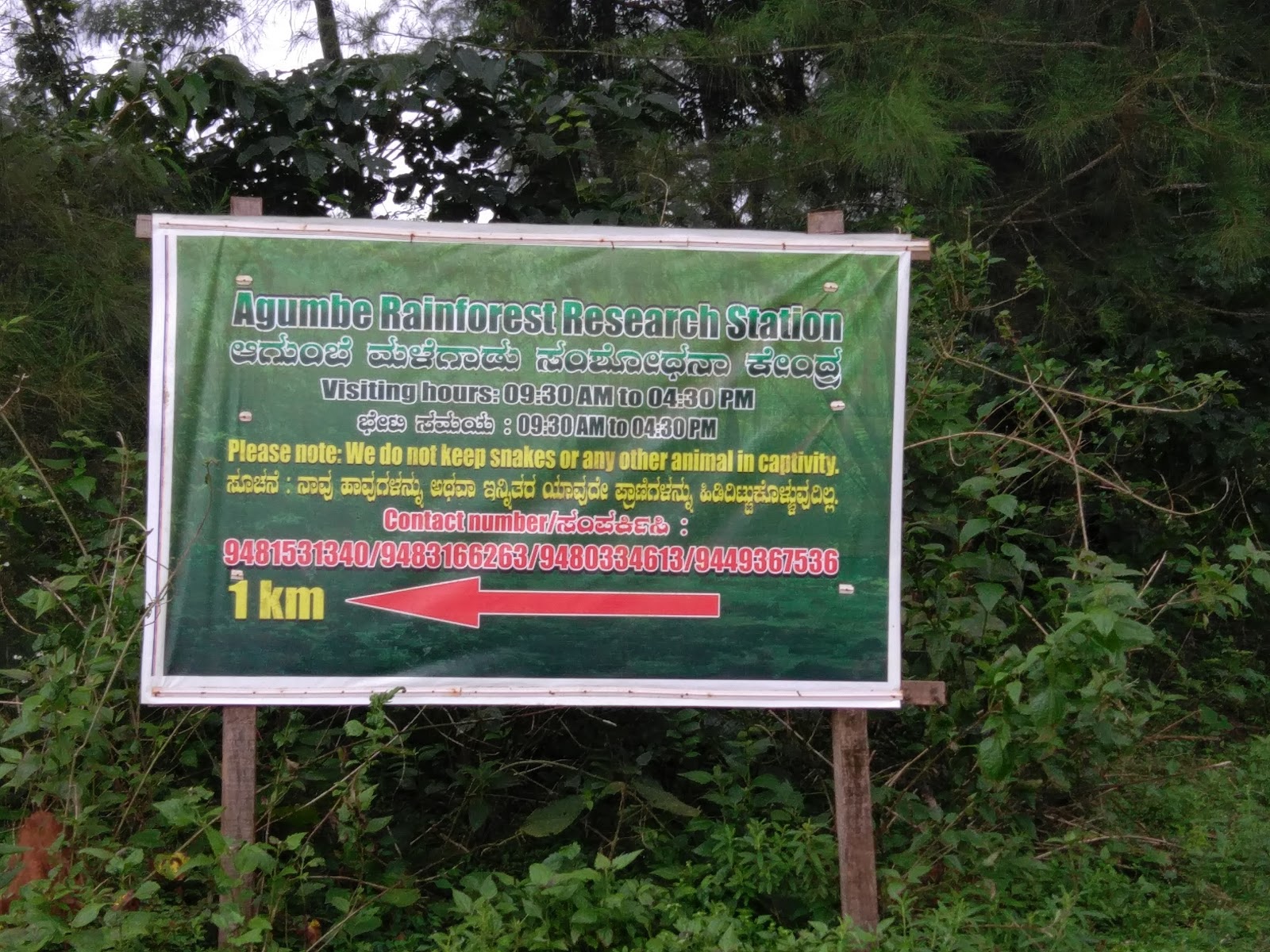 Agumbe Rainforest Research Station