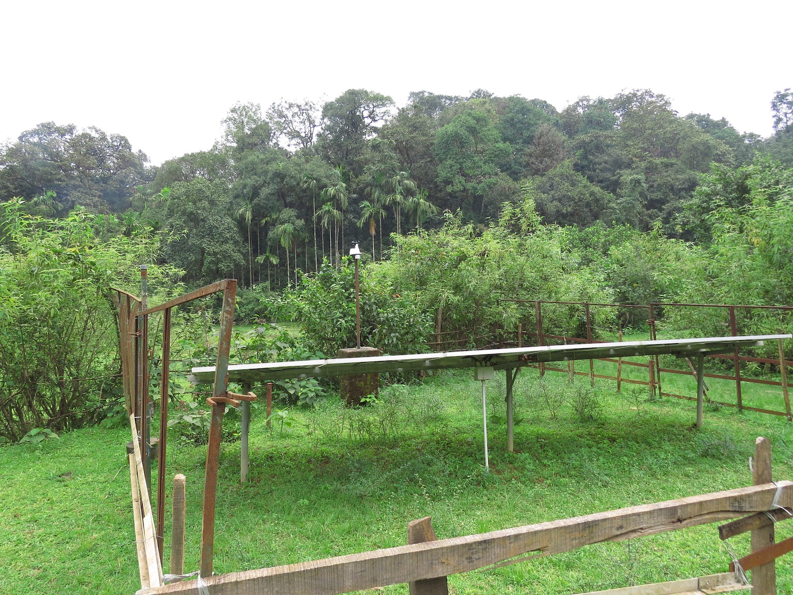 Agumbe Rainforest Research Station