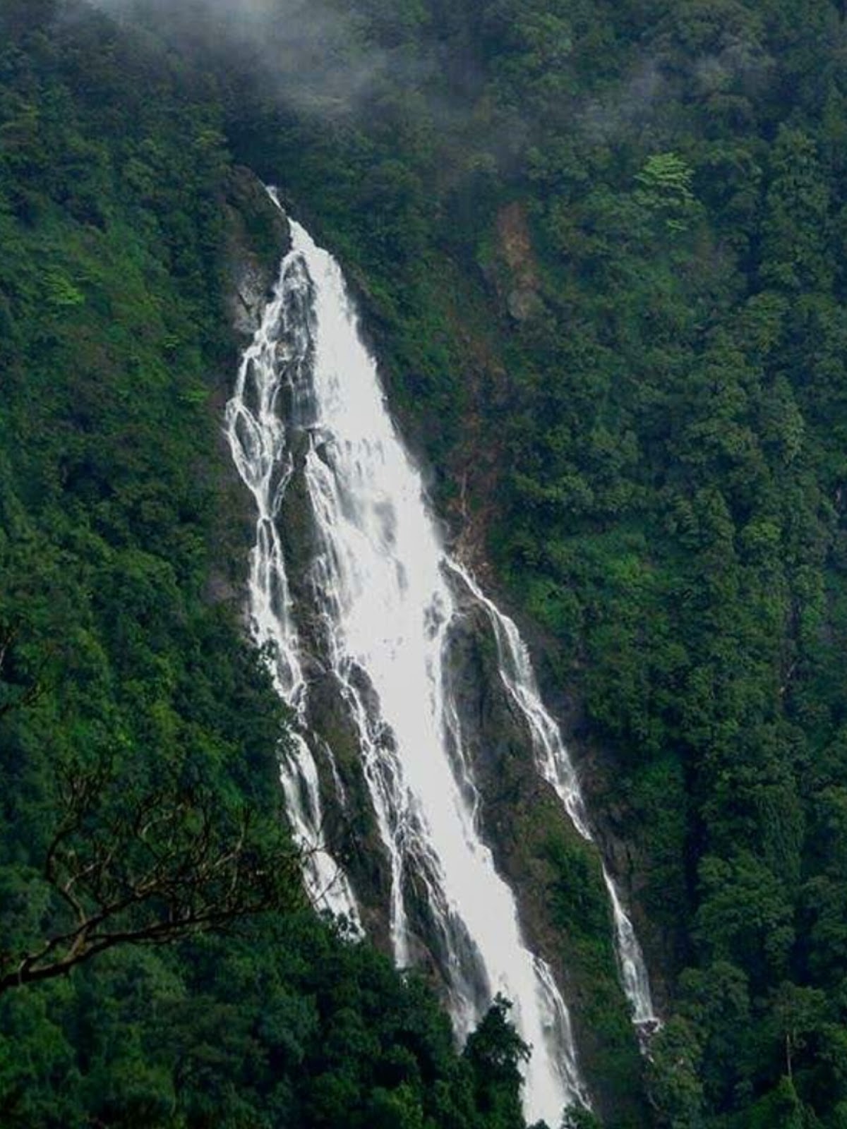 Agumbe - A Nature Lover's Paradise in Karnataka
