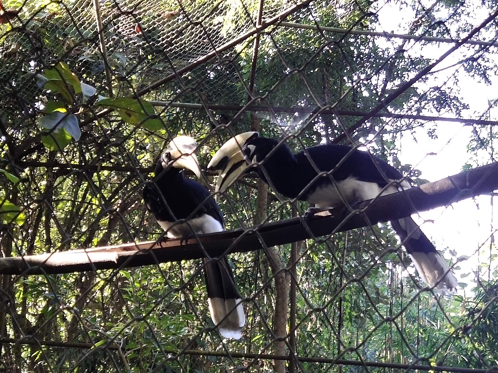 Mini Zoological Garden