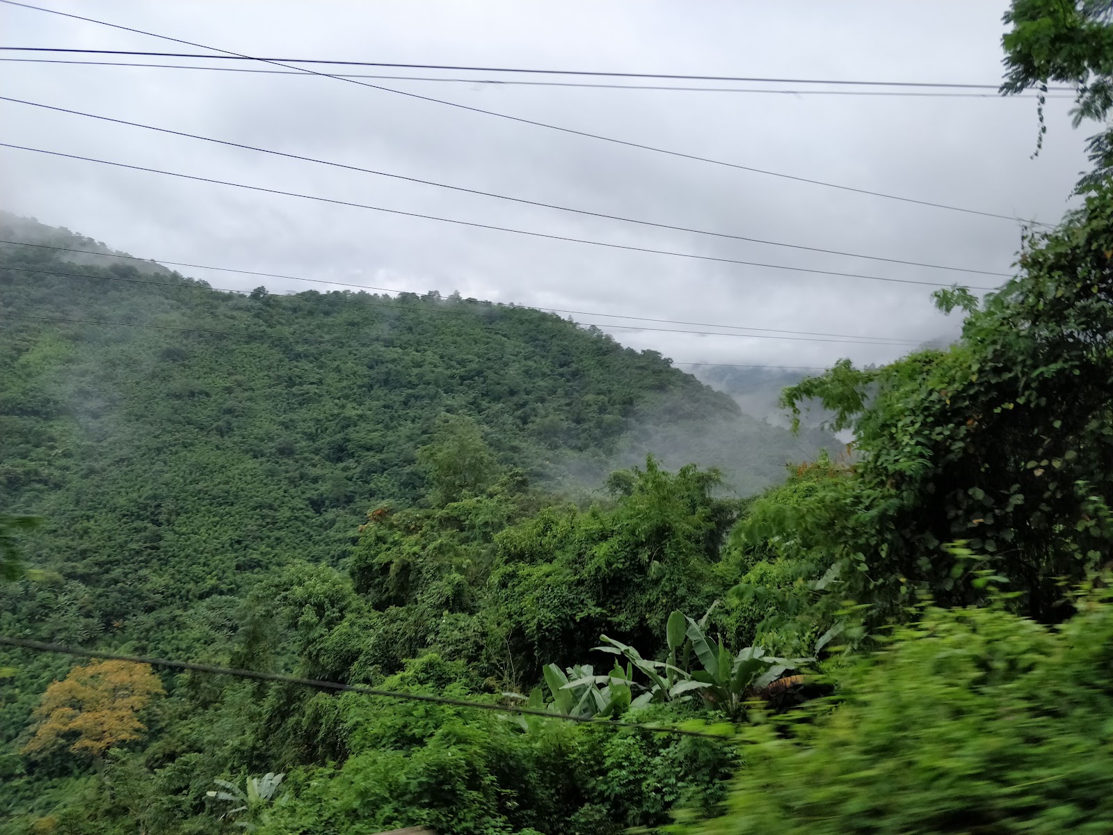 Mini Zoological Garden