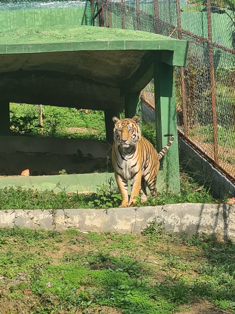 Mini Zoological Garden