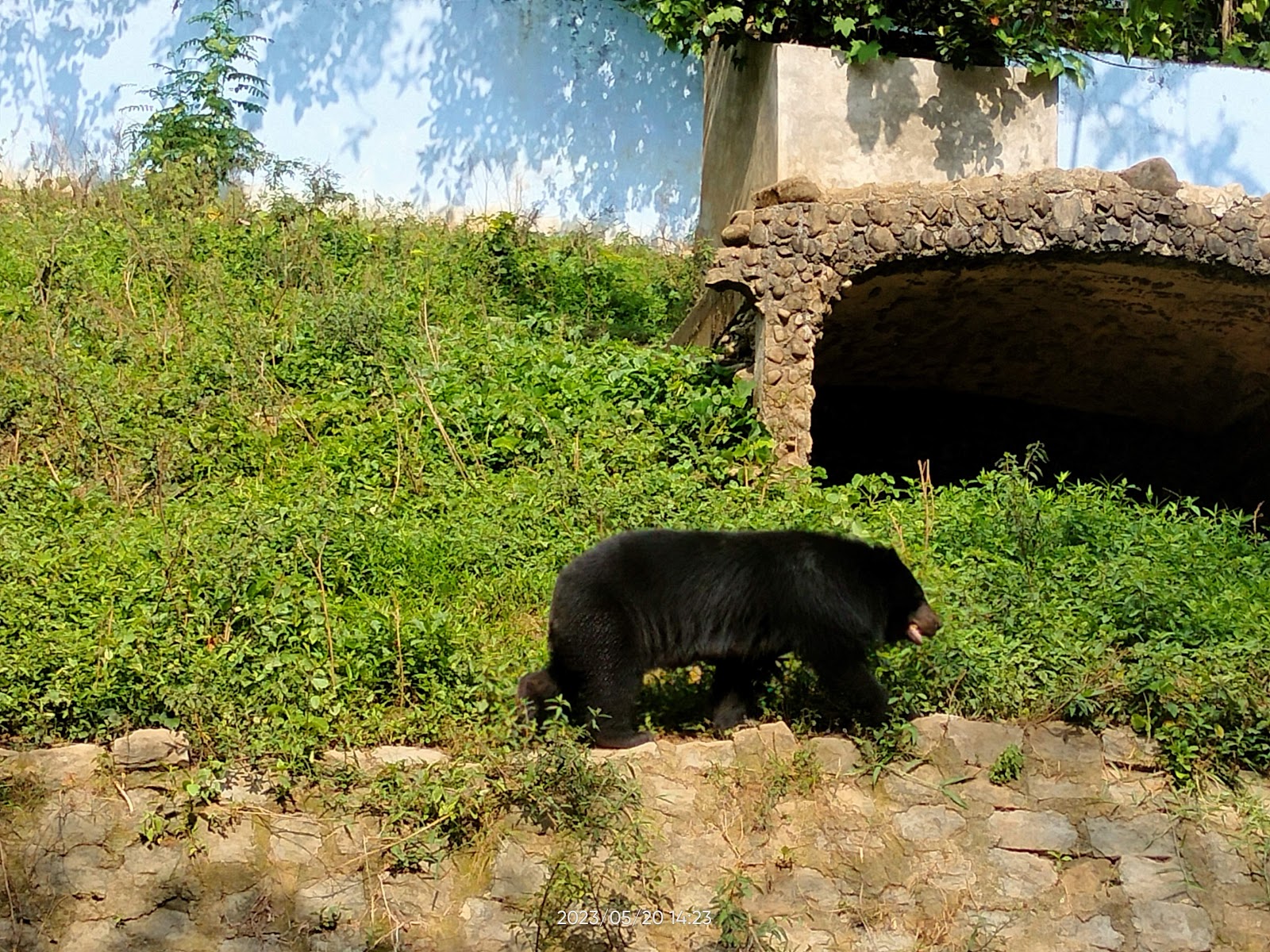 Mini Zoological Garden