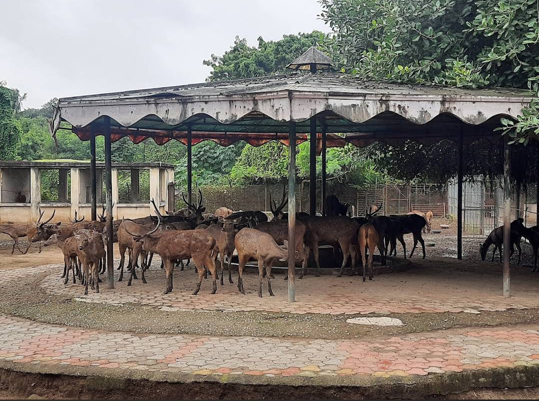 Siddharth Garden and Zoo