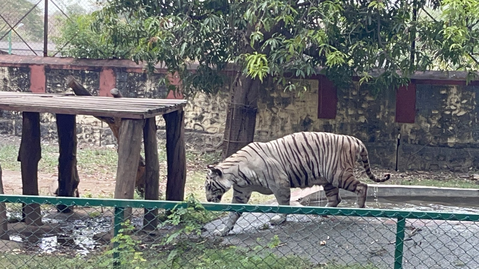 Siddharth Garden and Zoo