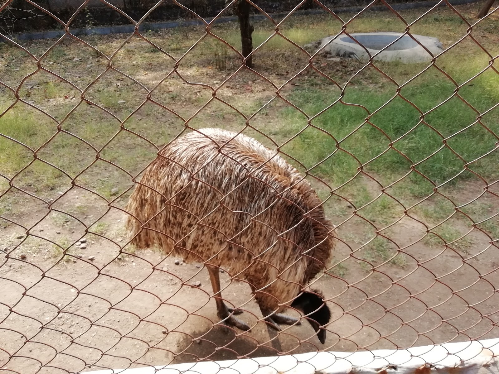 Siddharth Garden and Zoo