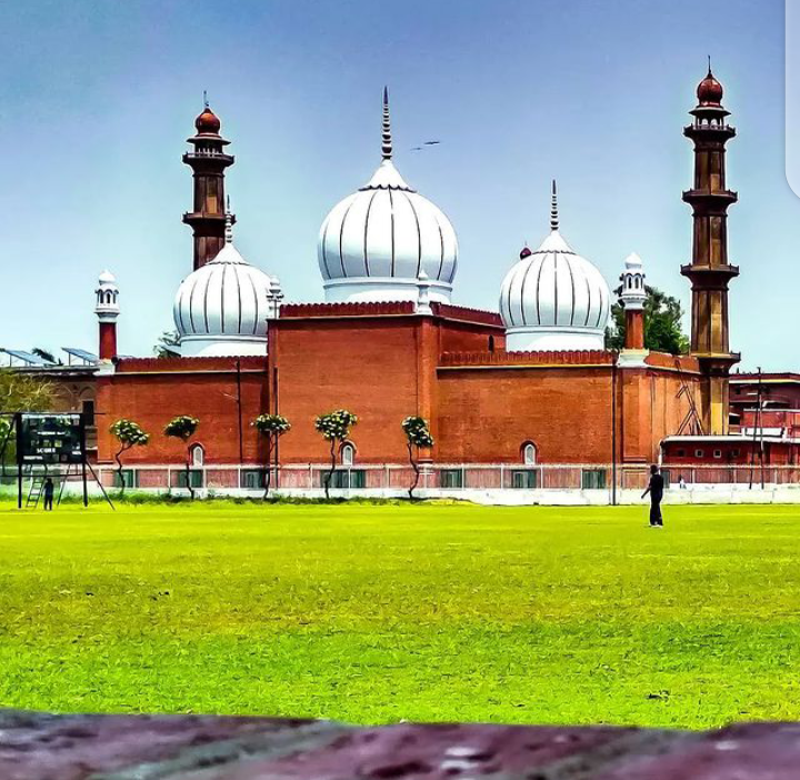 Aligarh Muslim University